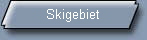 Skigebiet