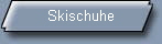 Skischuhe