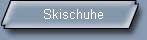 Skischuhe