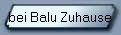 bei Balu Zuhause
